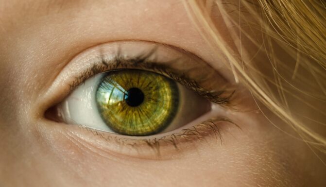 Why Somatic Experiencing Improves Health and Healing Outcomes