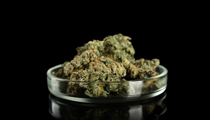 A Necessary Conversation About Marijuana