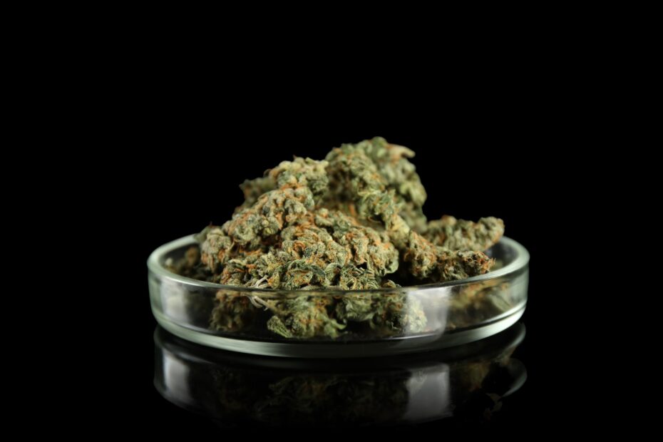 buds of weed - Marijuana use
